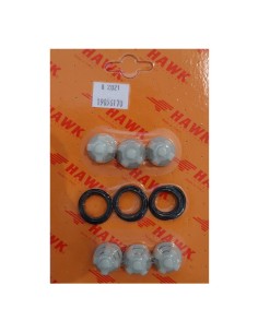 KIT COMPLETO VALVULAS SERIE FOG-NHD
